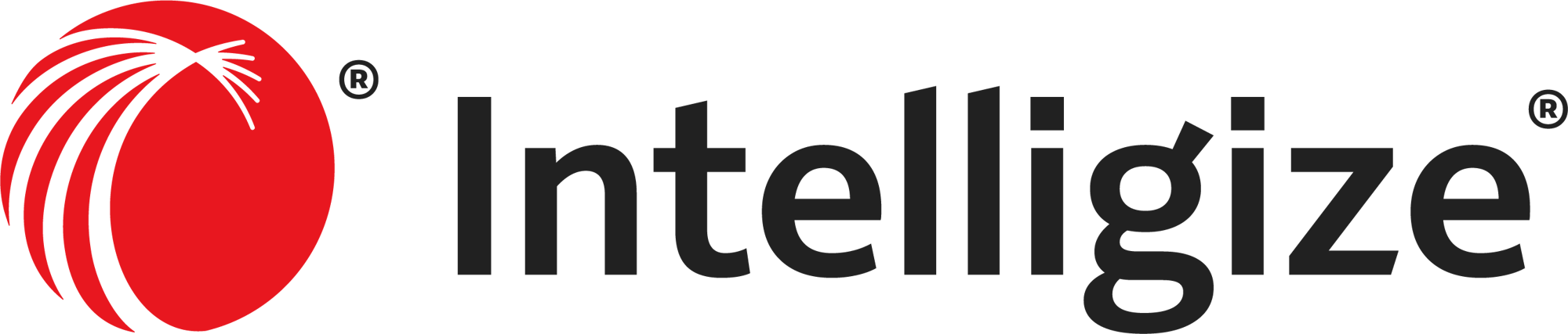 Intelligize_Multicolor